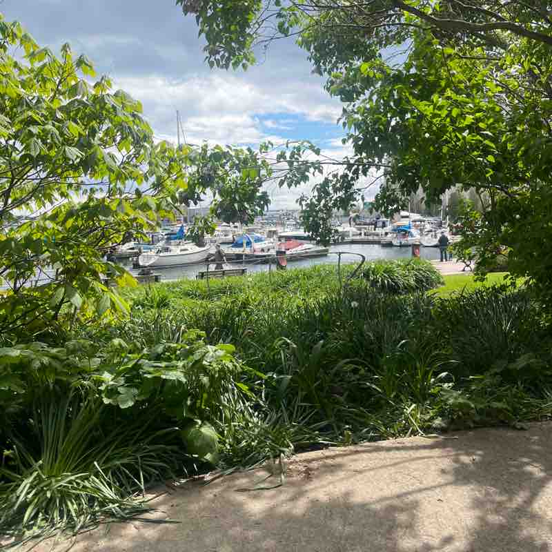 Miss Mannered post 2