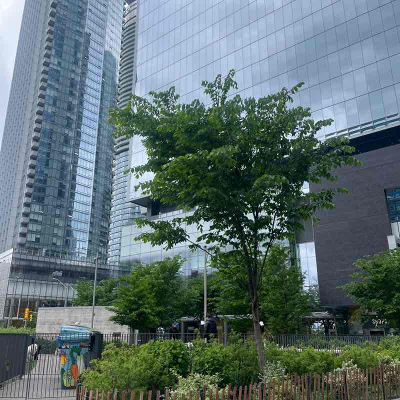 Miss Mannered post 1