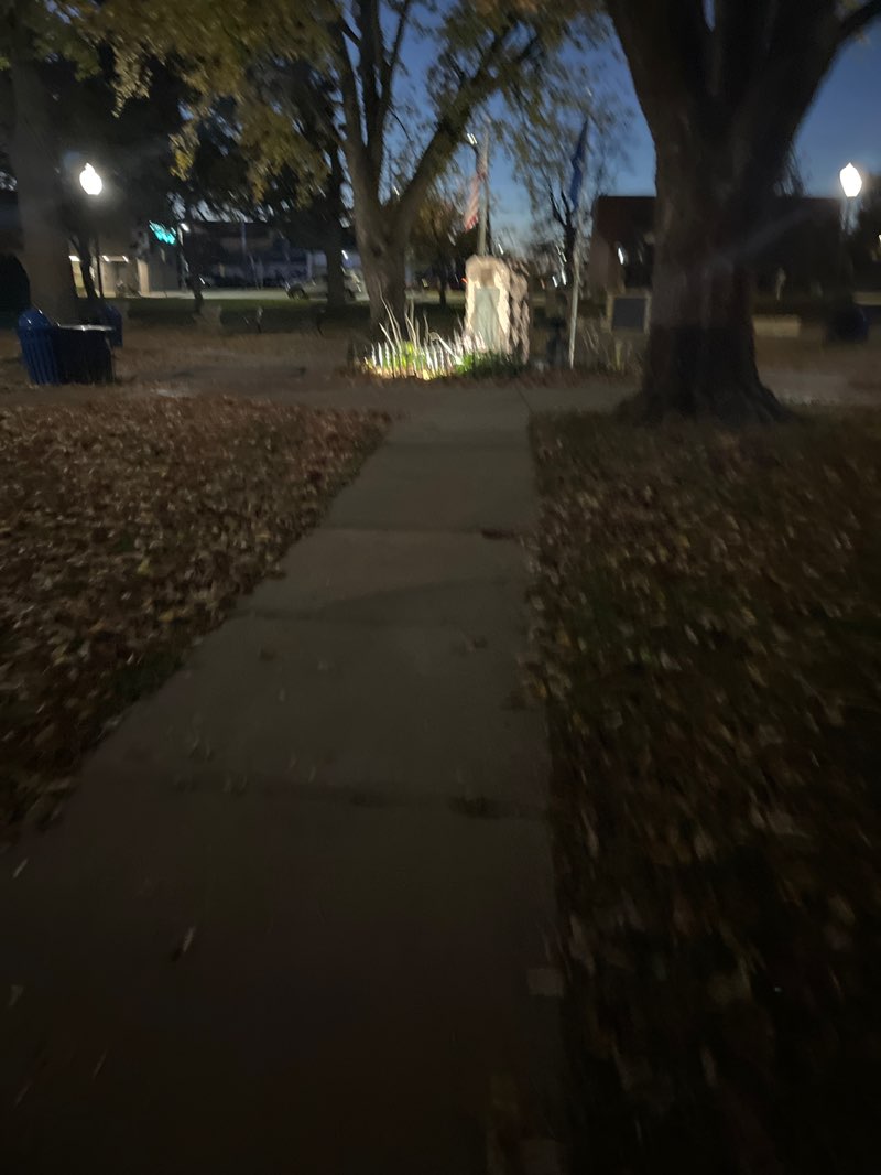 walking near me in City Park in autumn