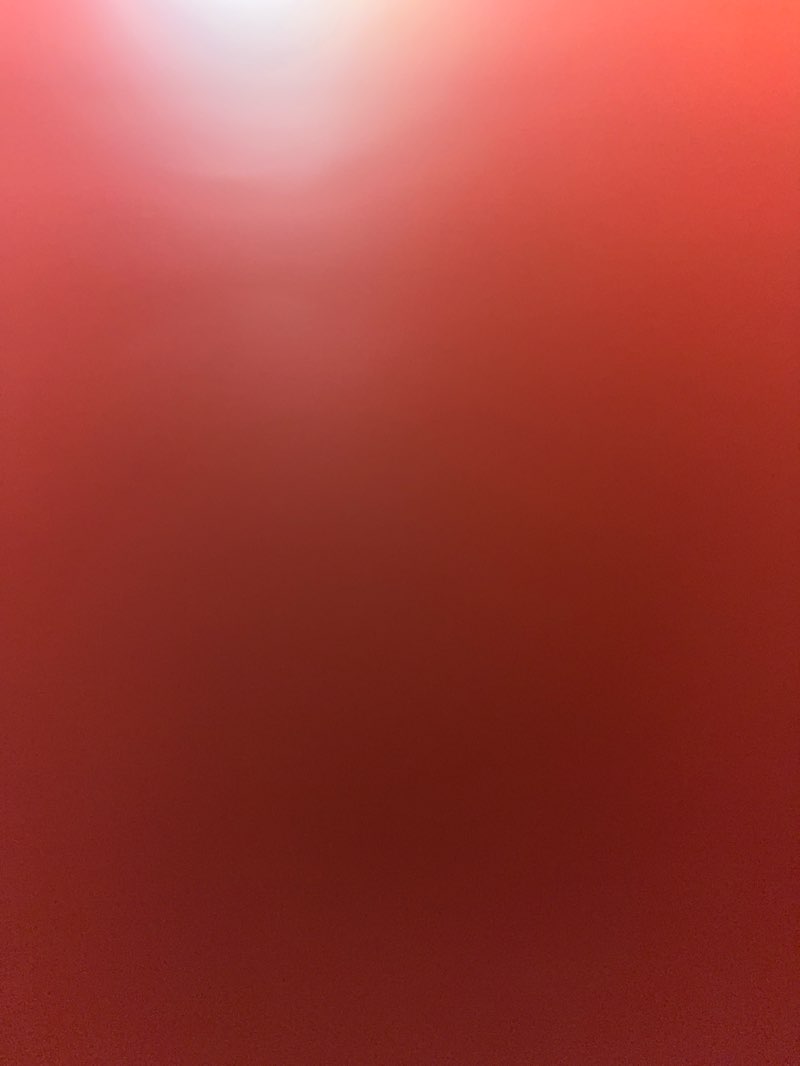 walking near me in Miner's Field in spring