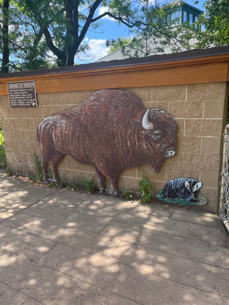 walking near me in Henry Vilas Park in autumn