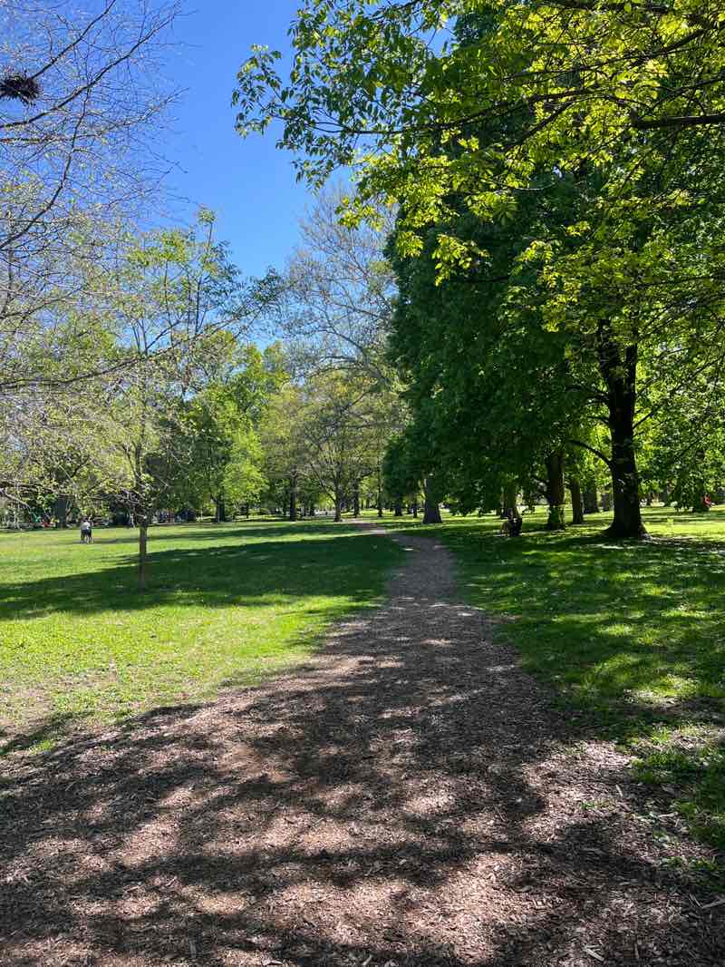 walking near me in Carle Park in spring