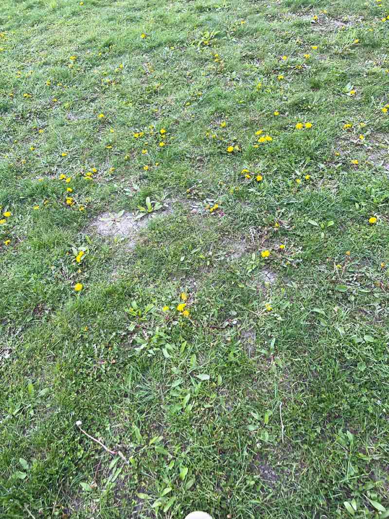 walking near me in Minooka County Park in spring