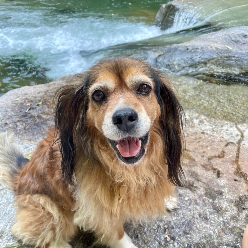 Katy🇨🇭🐾🐾