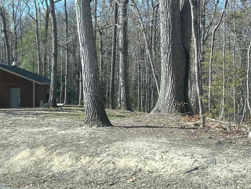 walking near me in Cheswick Park in spring