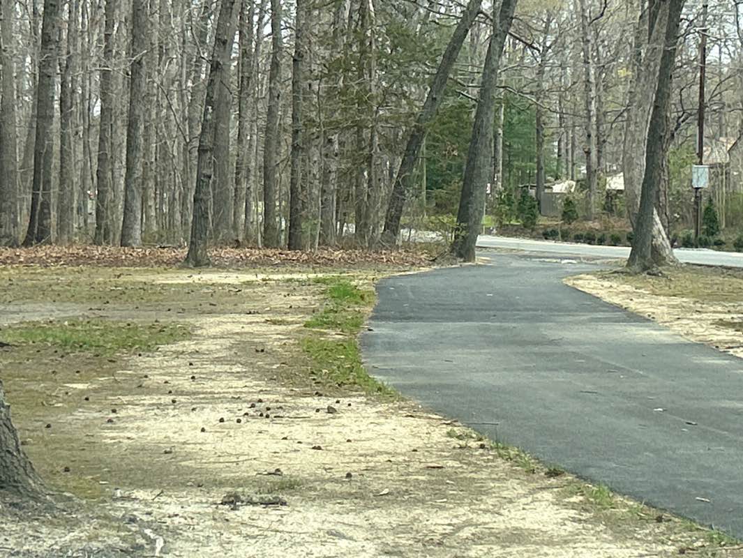 walking near me in Carter Park in spring