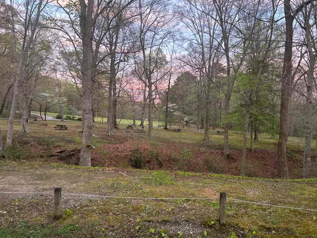 walking near me in Wayside Park in spring