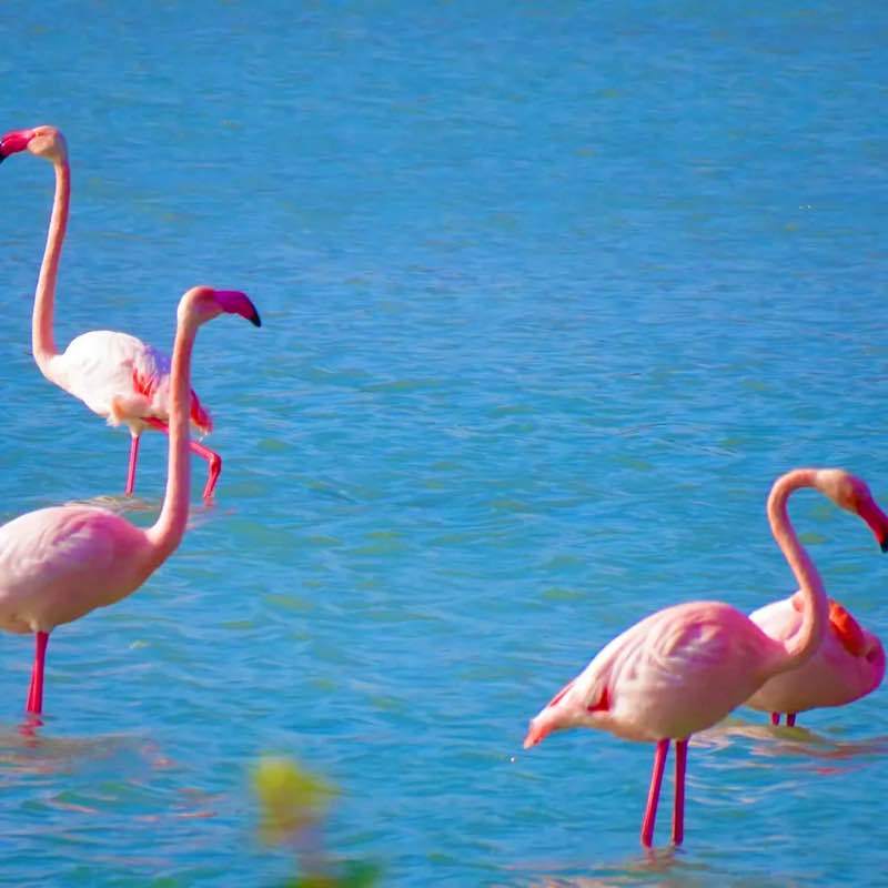 Mr.Maksymov 🇪🇸 post 3