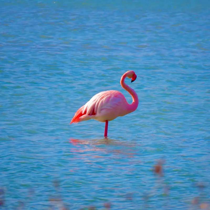 Mr.Maksymov 🇪🇸 post 2