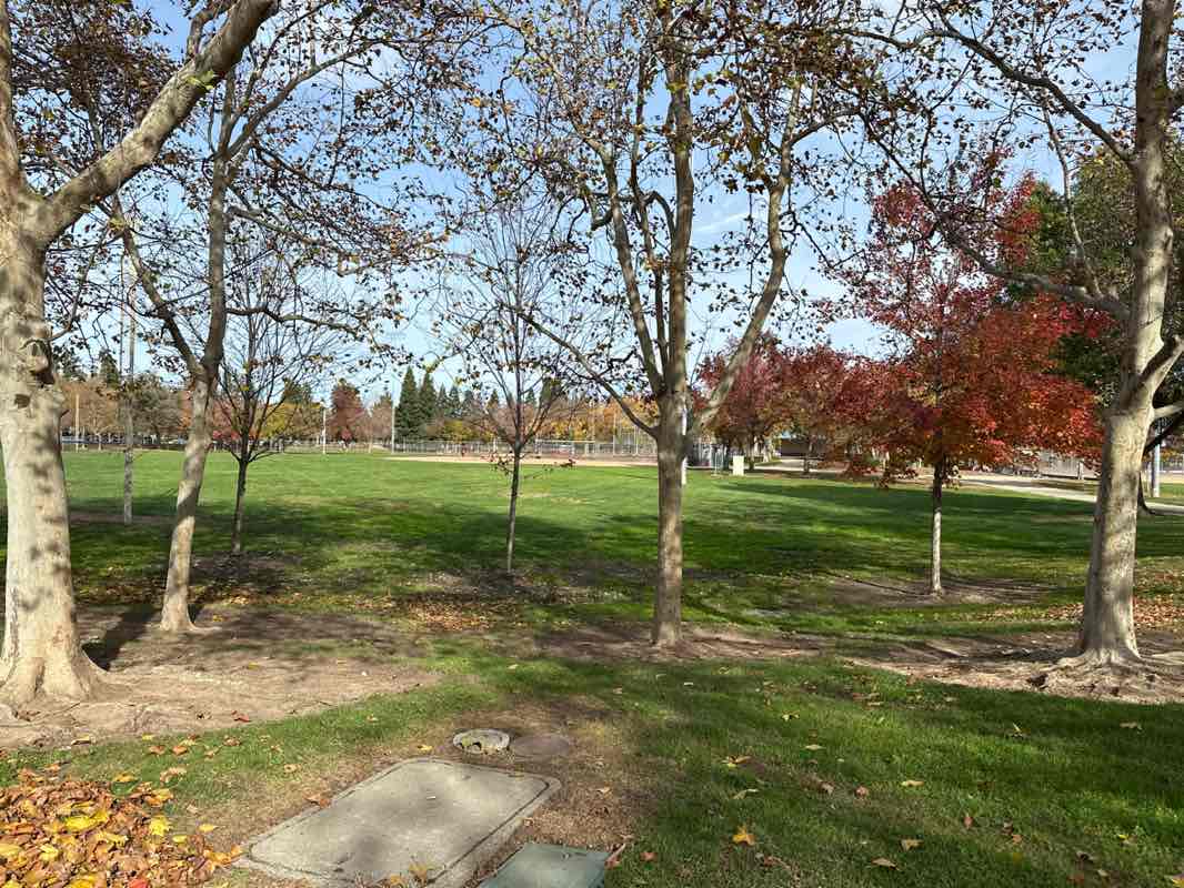 walking near me in Maidu Regional Park in winter