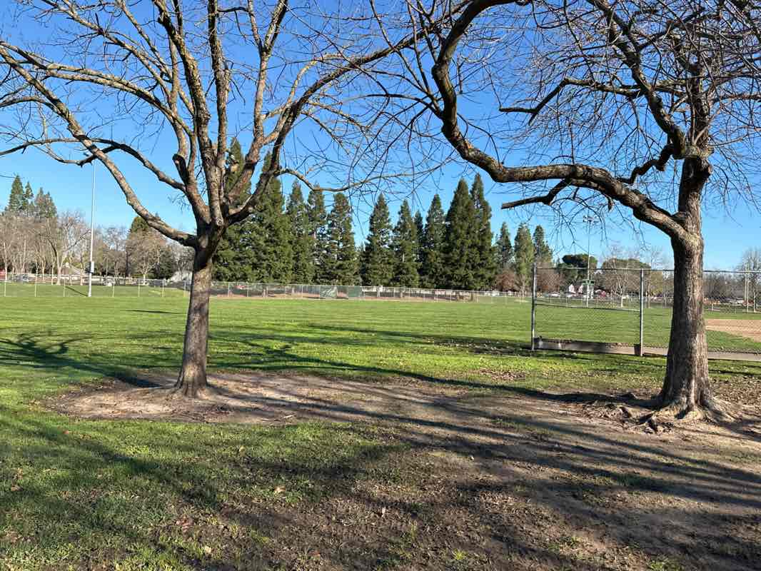 walking near me in Maidu Regional Park in winter