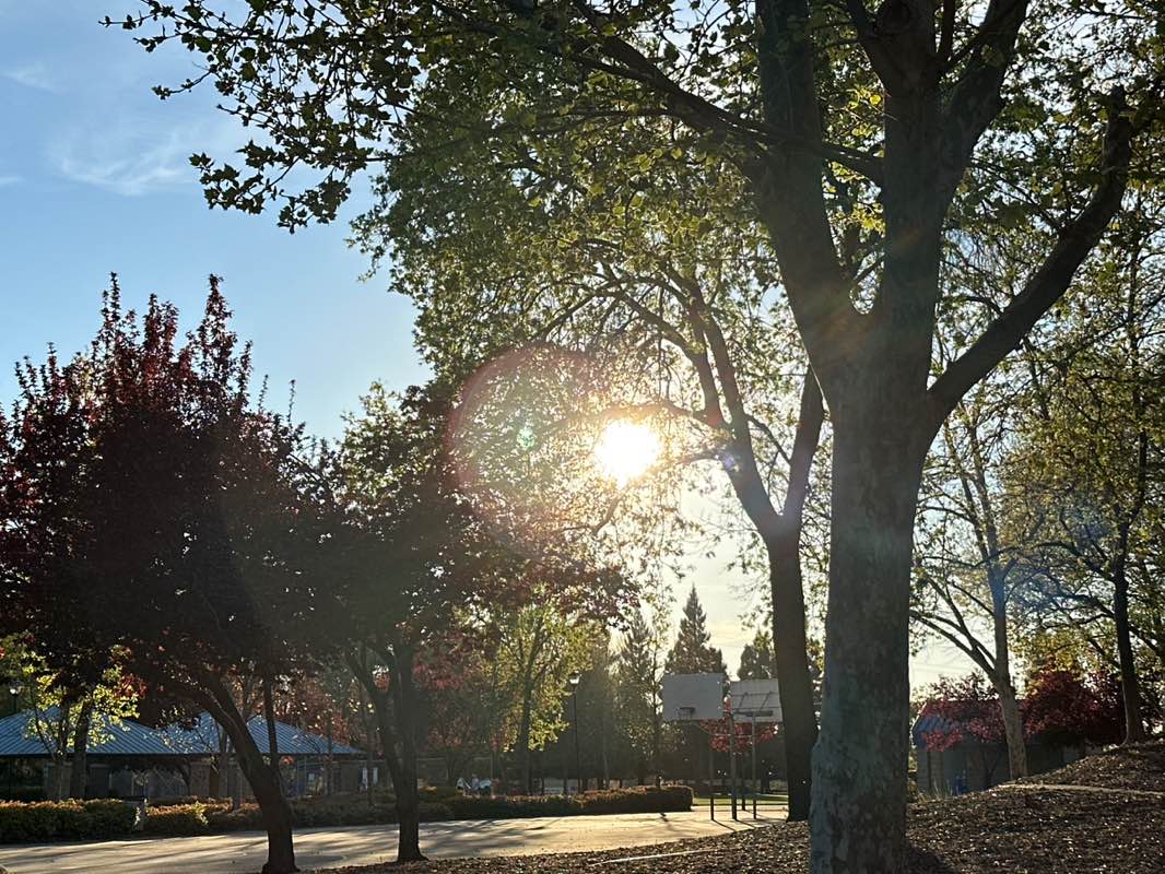 walking near me in Hillsborough Park in spring