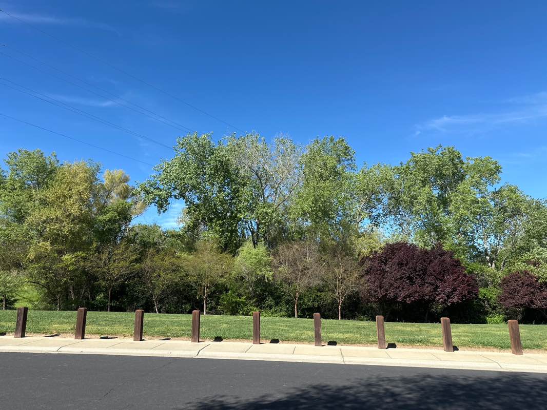 walking near me in Treelake Terrace Park in spring