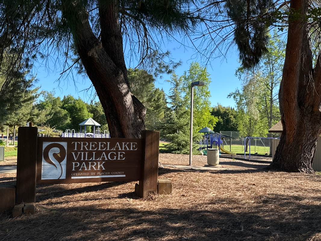walking near me in Treelake Park in spring