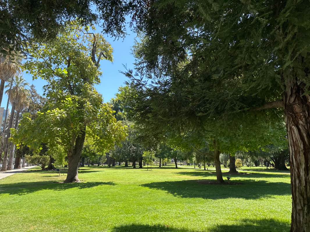 walking near me in Capitol Park in summer