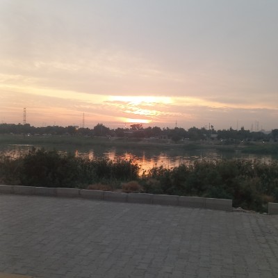 Persian Runners B4B4K post image