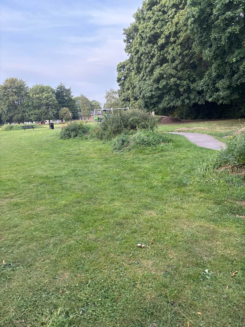 walking near me in Woodlands Road in summer