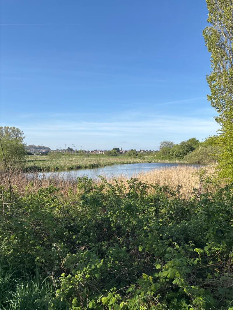 walking near me in Doxey Marshes in spring