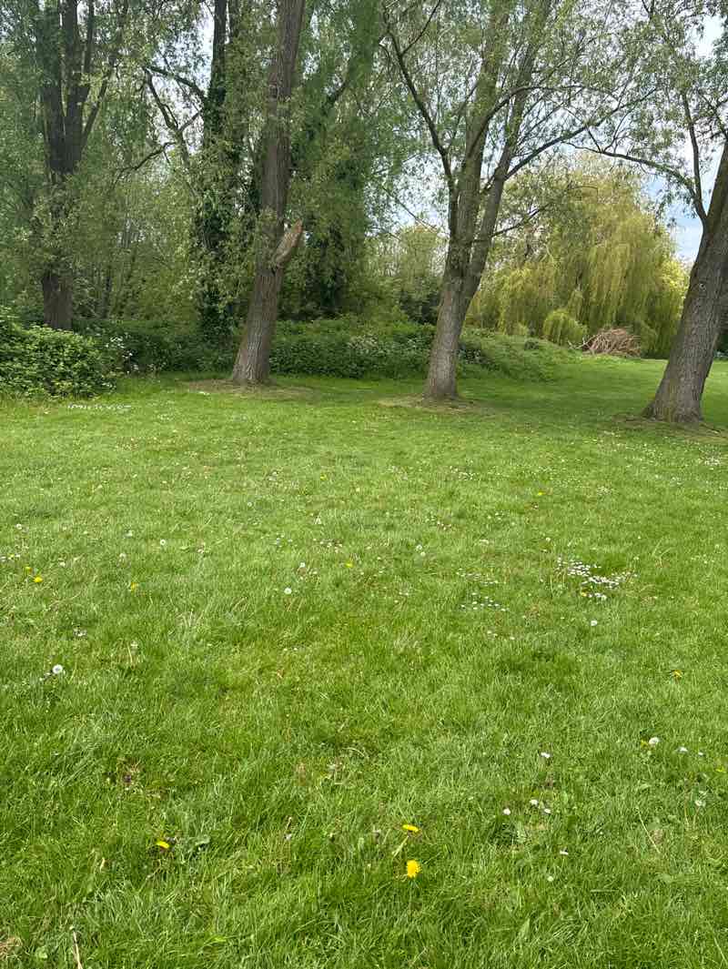 walking near me in Wildwood Park in spring