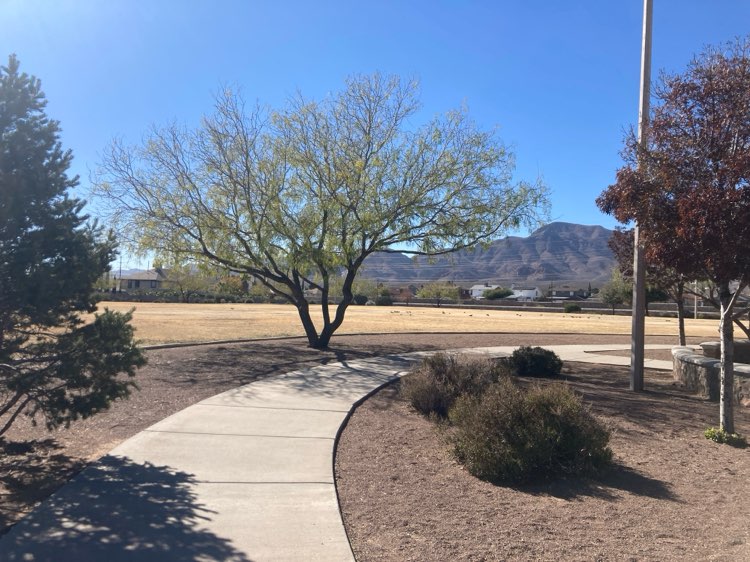 walking near me in Marcus Uribe Park in winter