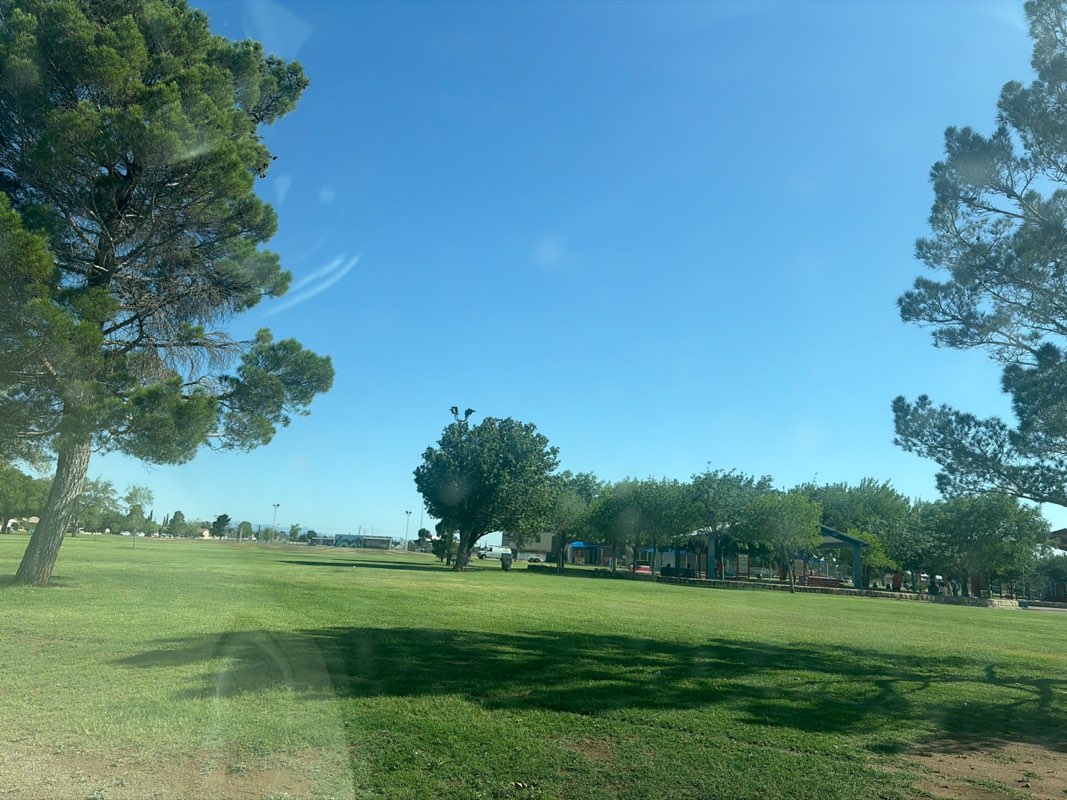 walking near me in Veterans Park in summer