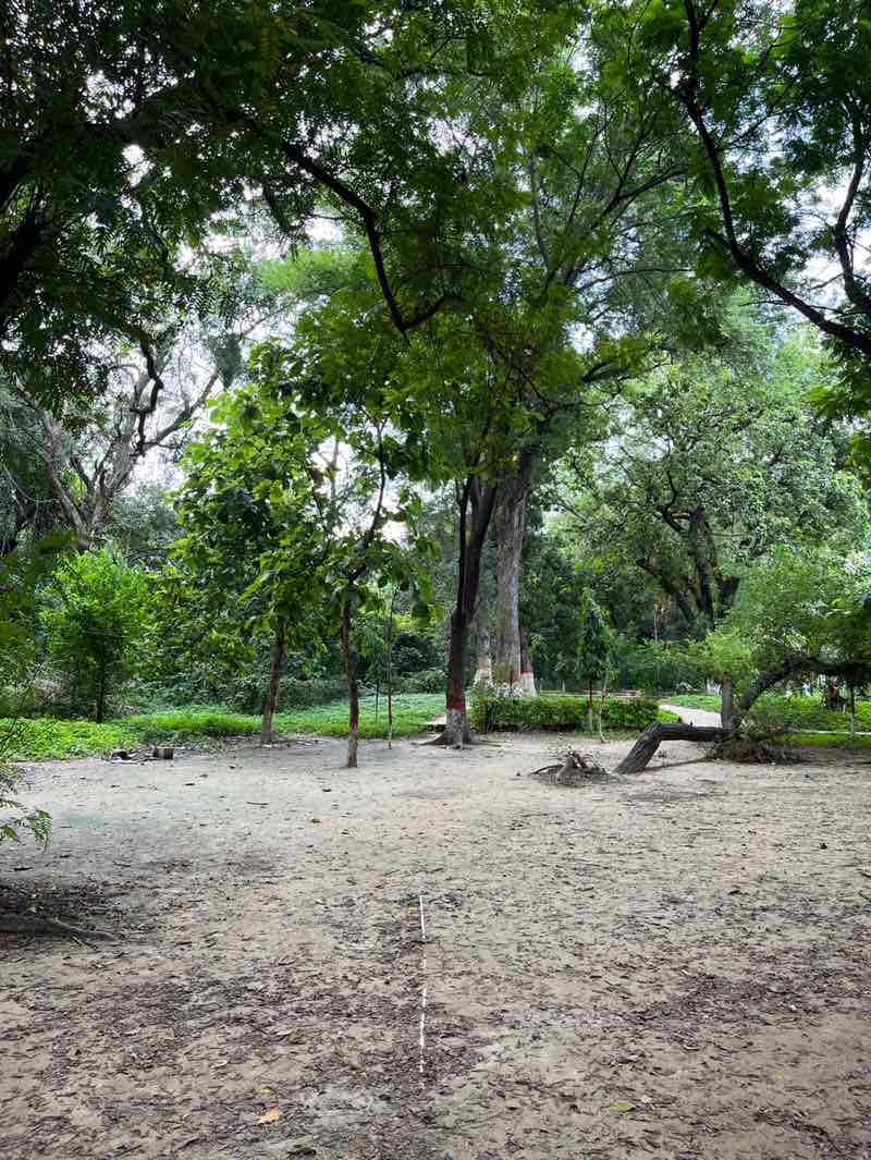walking near me in Madhuban Garden in autumn