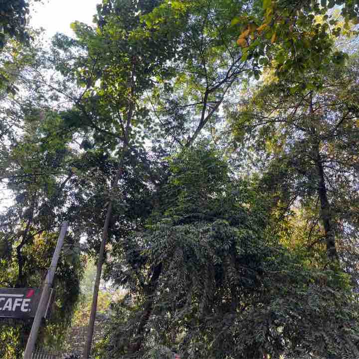 Dr Shwetabh Rai post 1