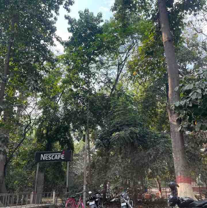 Dr Shwetabh Rai post 1