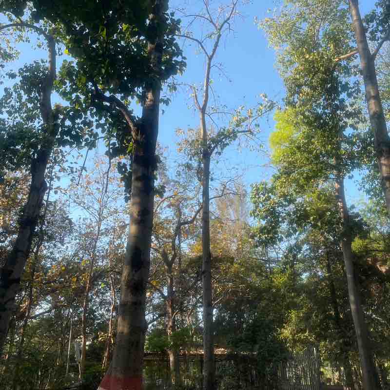 Dr Shwetabh Rai post 1