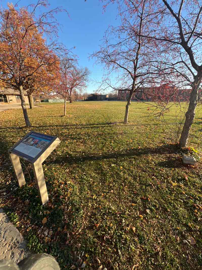 walking near me in Priory Park in autumn