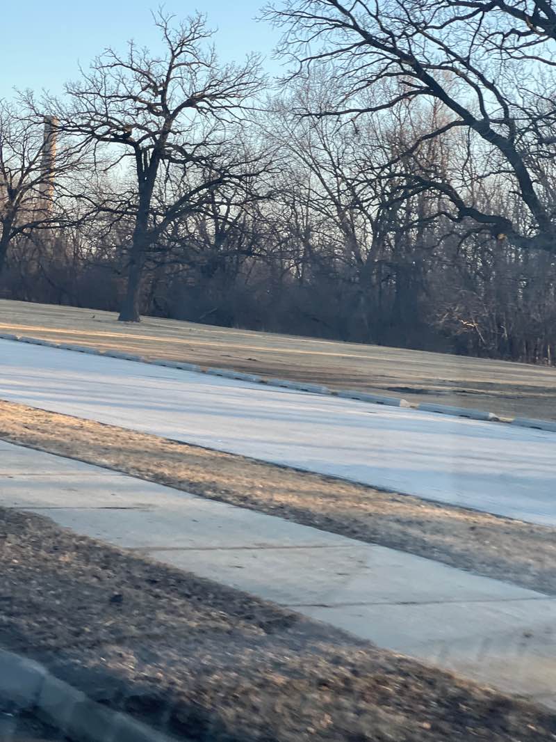 walking near me in Jackson Park in spring