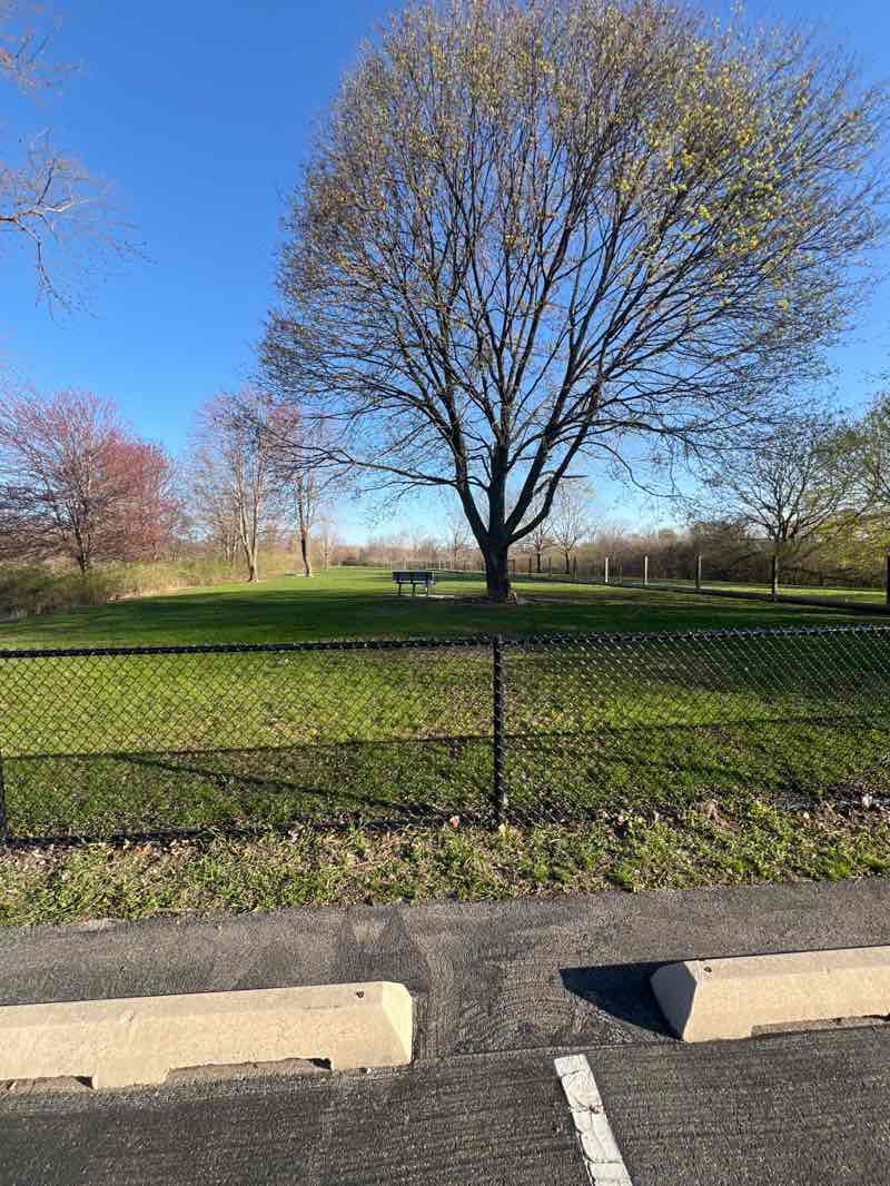 walking near me in Gregory Island Park in spring