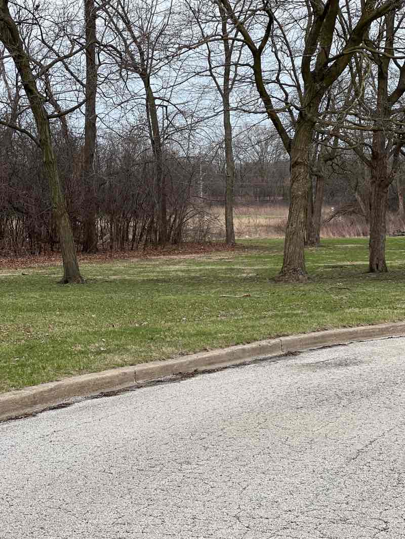 walking near me in Lions Woods in spring