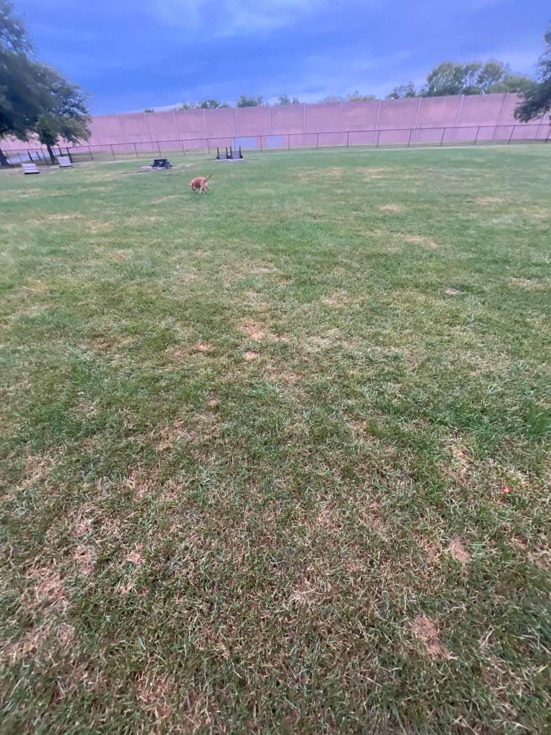 walking near me in Van Horn Woods Park in autumn