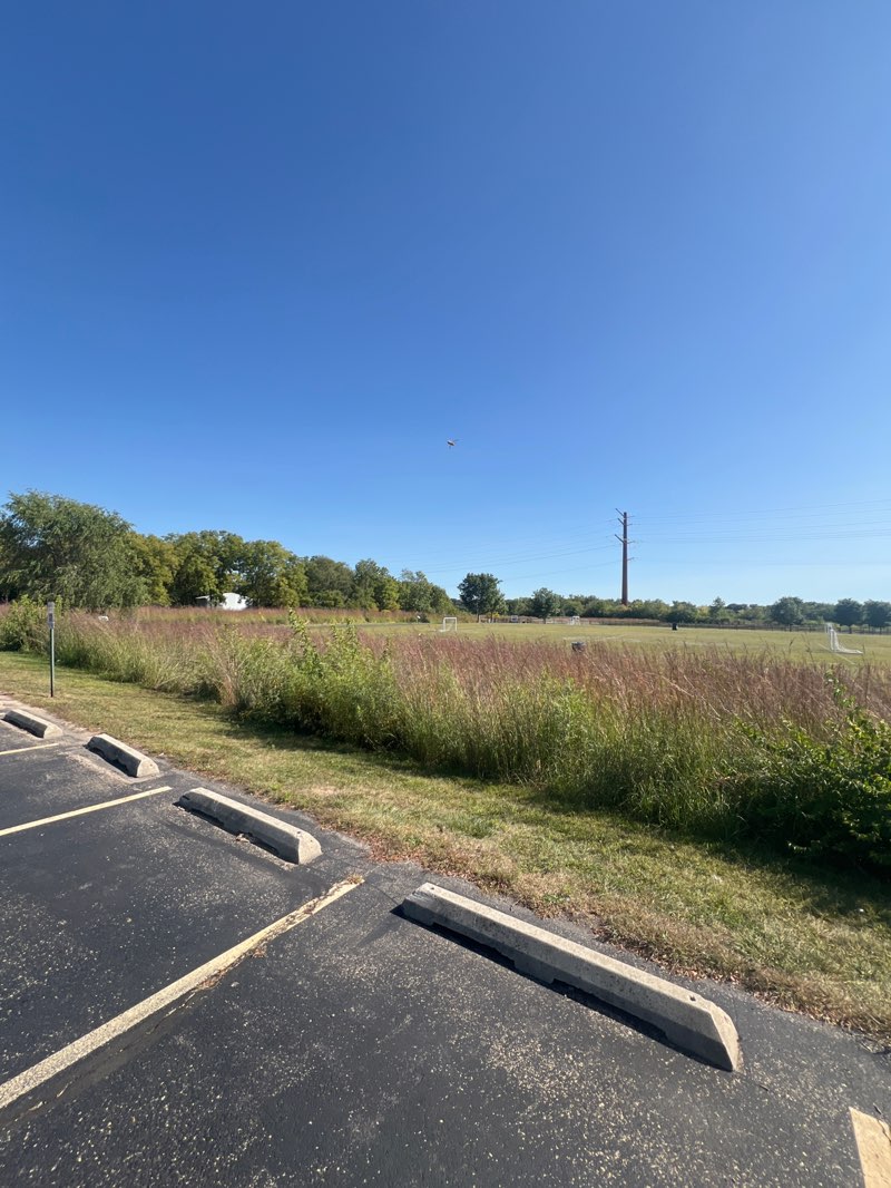 walking near me in Clow Stephens Park in autumn