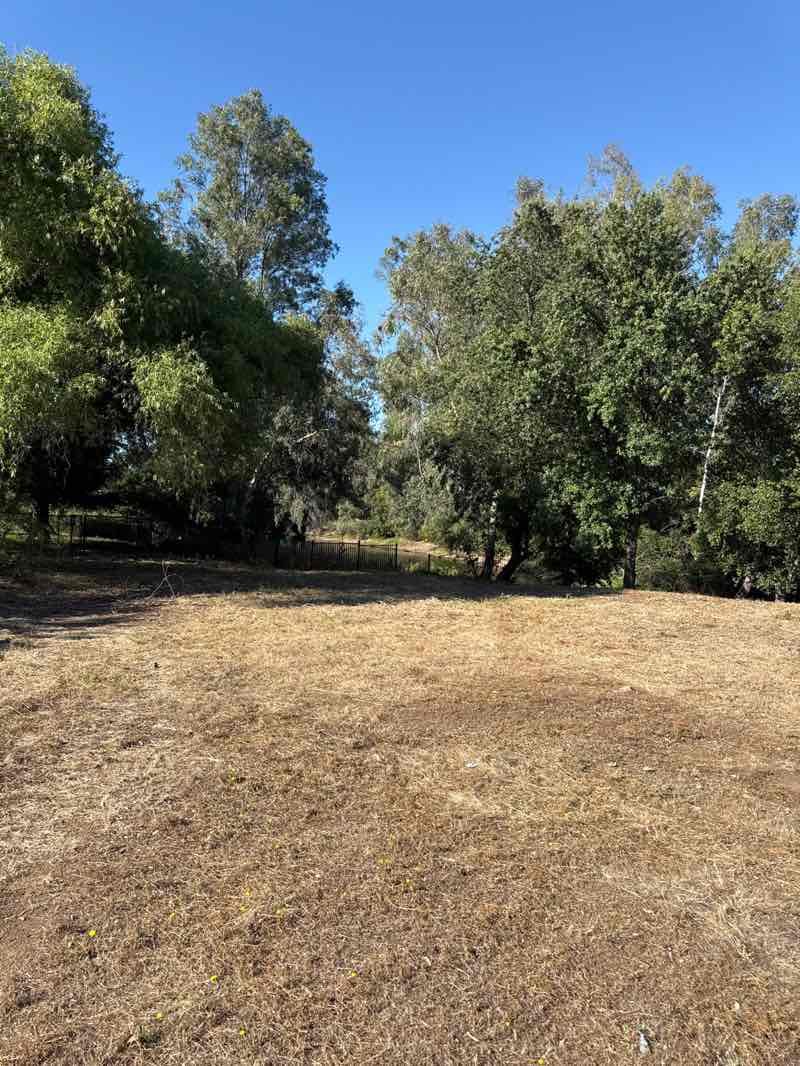 walking near me in Creekside Greens Park in summer