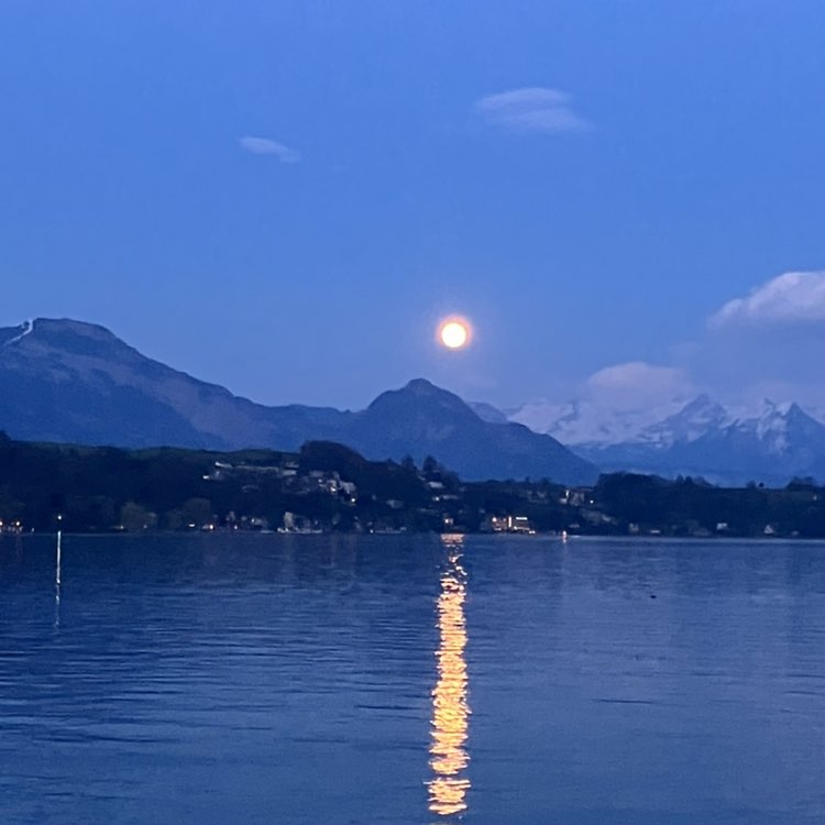 ★𝔻𝕒𝕟𝕚𝕖𝕝𝕒☆ post 2