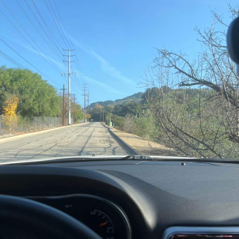 Patricia Lynn post 1