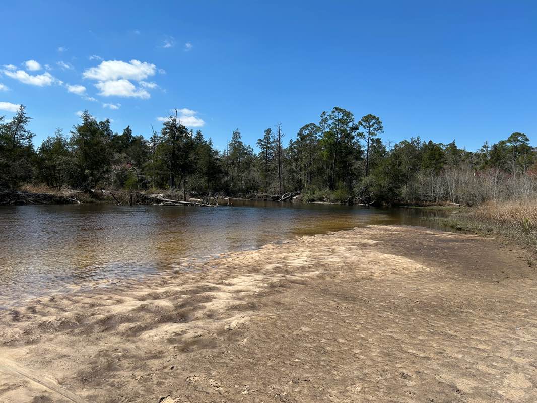 walking near me in Blackwater River State Park in spring