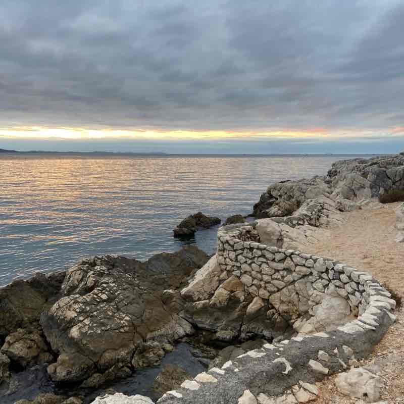 selma & fanđa the dog(o) post 3