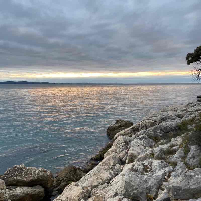 selma & fanđa the dog(o) post 2