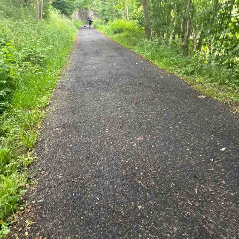 Walk With Me post 2