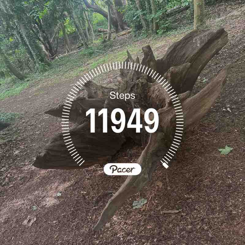 Walk With Me post 1