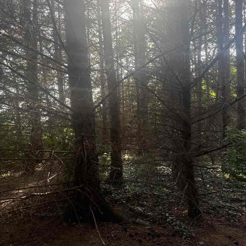 Walk With Me post 3