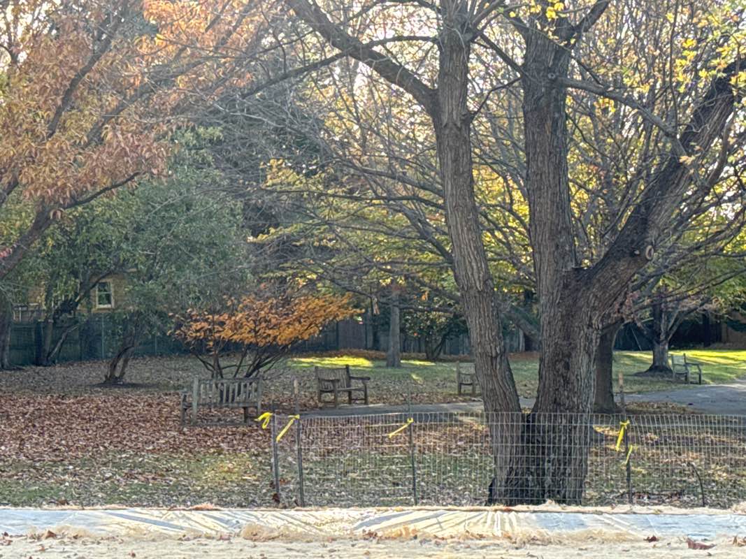 walking near me in Millenium Garden Park in autumn