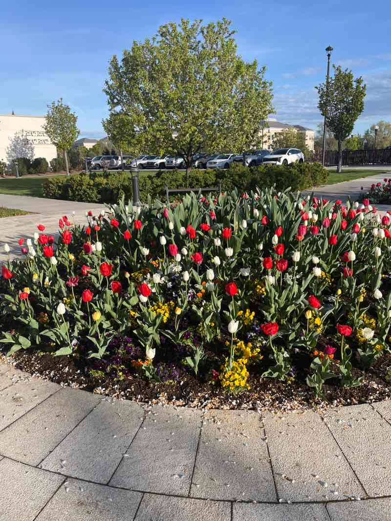 walking near me in Tabernacle Park in spring
