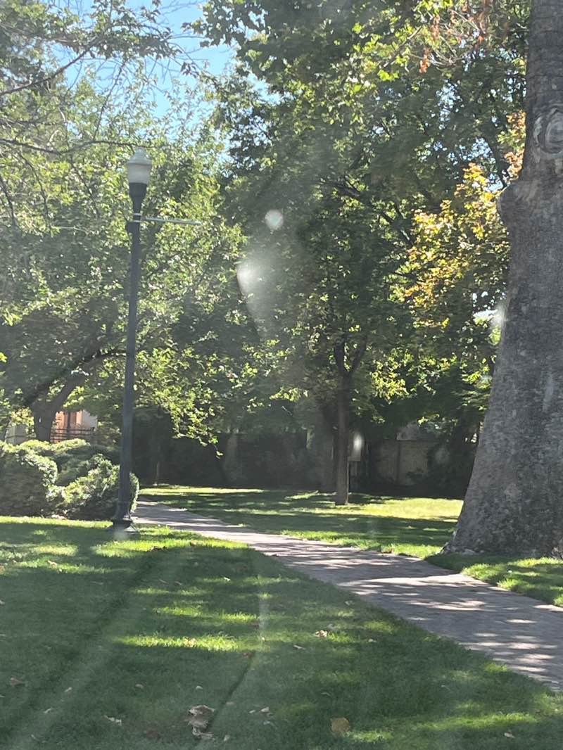 walking near me in Municipal Gardens in summer