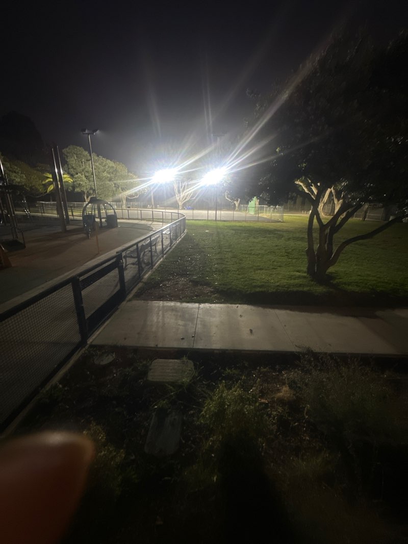 walking near me in Marine Park in summer