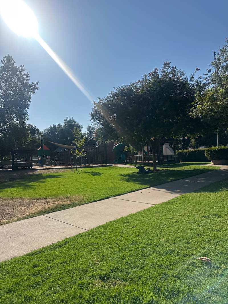 walking near me in Libbey Park in autumn