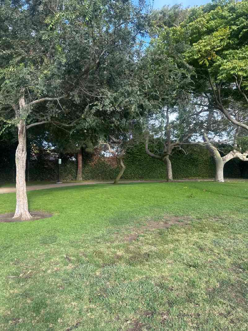 walking near me in Culver West Park in autumn